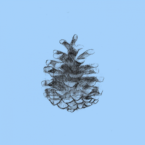 The IXth Key : Winter